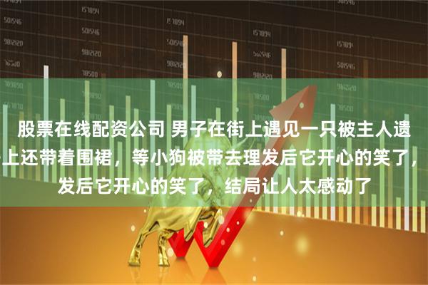 股票在线配资公司 男子在街上遇见一只被主人遗弃的流浪狗，脖子上还带着围裙，等小狗被带去理发后它开心的笑了，结局让人太感动了